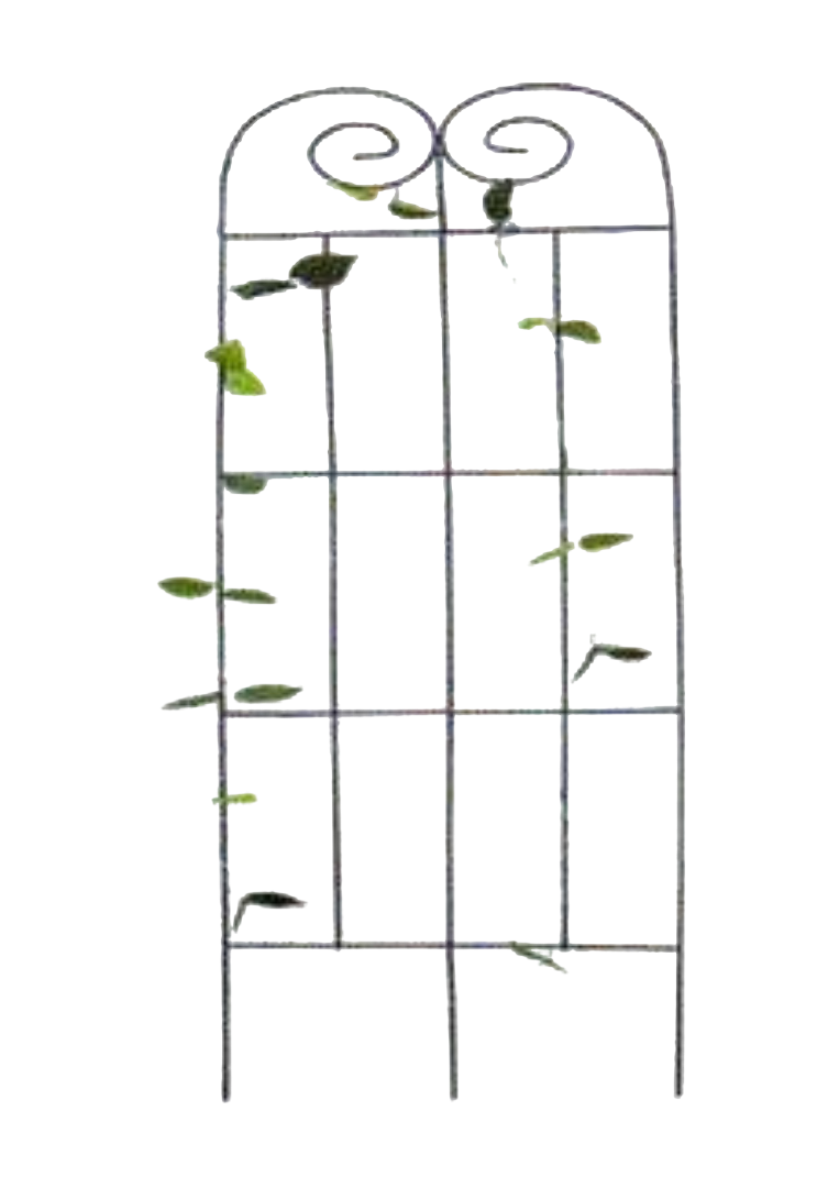 TRELLIS