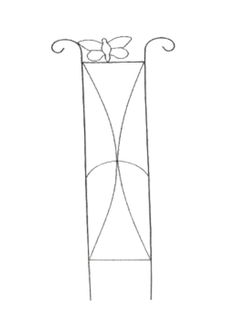 TRELLIS
