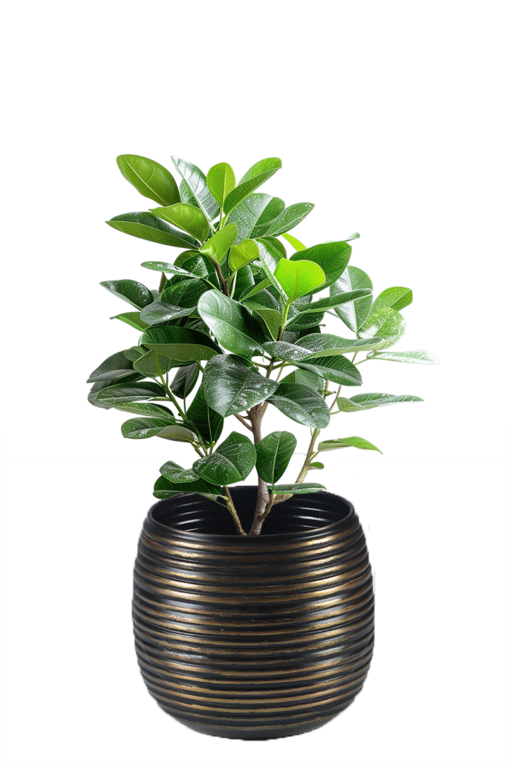 Mild Steel Round Planter