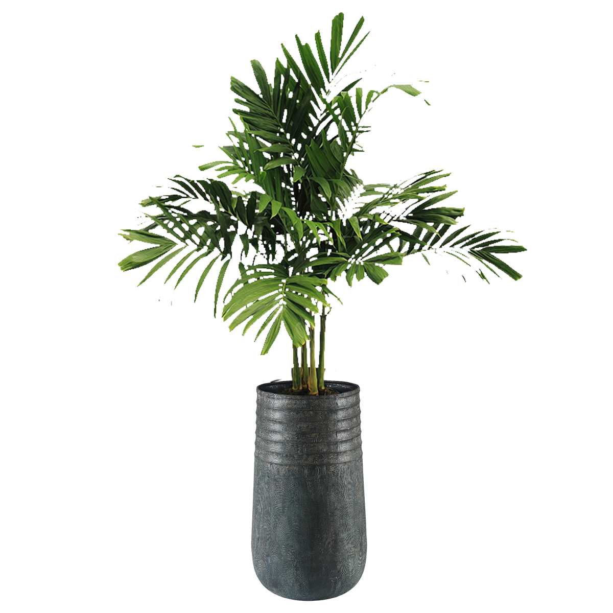 Mild Steel Round Planter